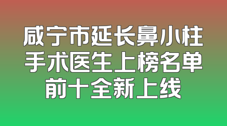 咸宁市延长鼻小柱手术医生上榜名单前十全新上线
