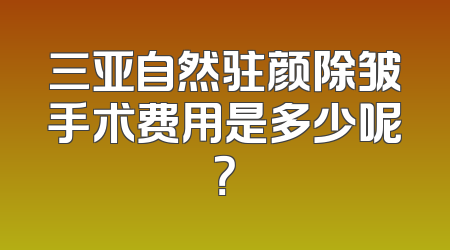 三亚自然驻颜除皱手术费用是多少呢？