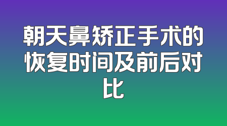 朝天鼻矫正手术的恢复时间及前后对比