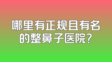 哪里有正规且有名的整鼻子医院？