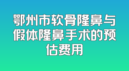 鄂州市软骨隆鼻与假体隆鼻手术的预估费用