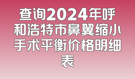 查询2024年呼和浩特市鼻翼缩小手术平衡价格明细表
