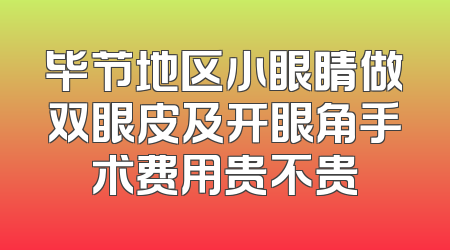 毕节地区小眼睛做双眼皮及开眼角手术费用贵不贵