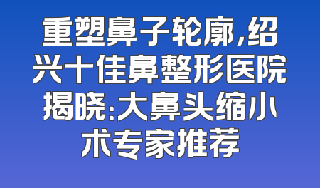 重塑鼻子轮廓，绍兴十佳鼻整形医院揭晓：大鼻头缩小术专家推荐
