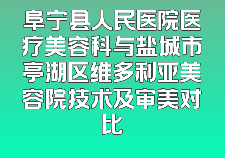 阜宁县人民医院医疗美容科与盐城市亭湖区维多利亚美容院技术及审美对比