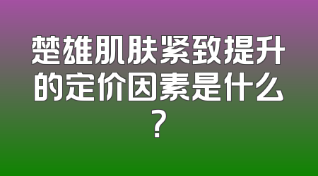 楚雄肌肤紧致提升的定价因素是什么？