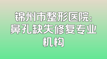 锦州市整形医院：鼻孔缺失修复专业机构