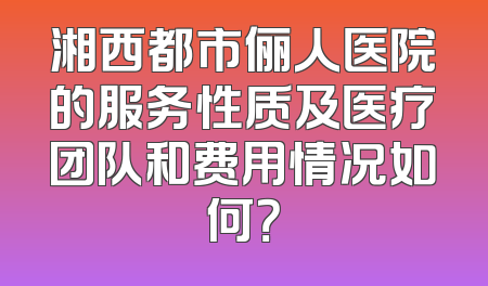 湘西都市俪人医院的服务性质及医疗团队和费用情况如何？
