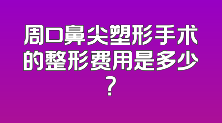 周口鼻尖塑形手术的整形费用是多少？