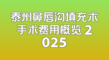 泰州鼻唇沟填充术手术费用概览 2025
