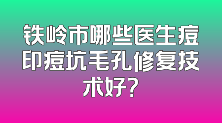 铁岭市哪些医生痘印痘坑毛孔修复技术好？