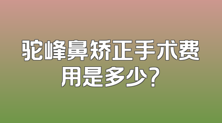 驼峰鼻矫正手术费用是多少？