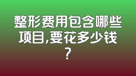 整形费用包含哪些项目，要花多少钱？