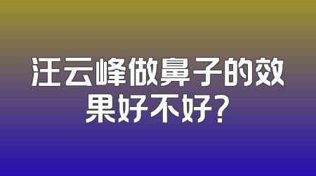 汪云峰做鼻子的效果好不好？