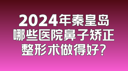 2024年秦皇岛哪些医院鼻子矫正整形术做得好？