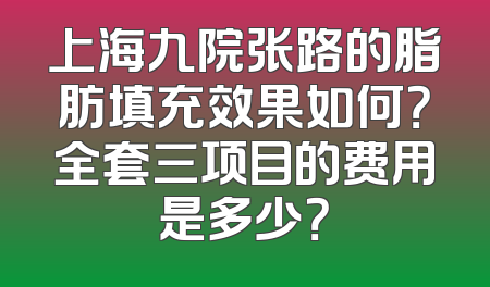 上海九院张路的脂肪填充效果如何？全套三项目的费用是多少？