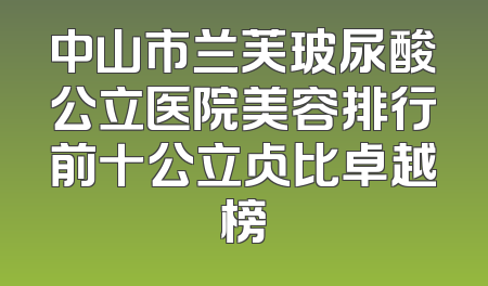 中山市兰芙玻尿酸公立医院美容排行前十公立占比卓越榜