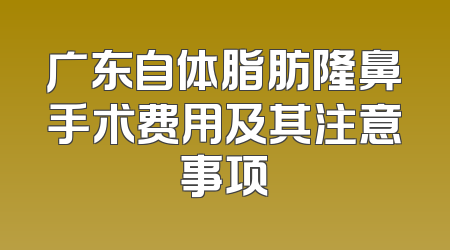 广东自体脂肪隆鼻手术费用及其注意事项
