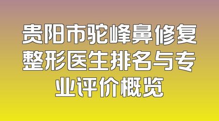 贵阳市驼峰鼻修复整形医生排名与专业评价概览