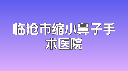临沧市缩小鼻子手术医院