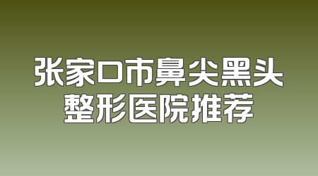 张家口市鼻尖黑头整形医院推荐
