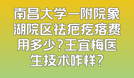 南昌大学一附院象湖院区祛疤疙瘩费用多少？王宜梅医生技术咋样？