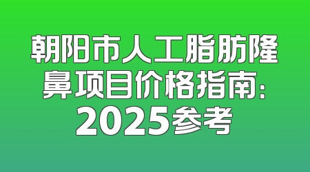 朝阳市人工脂肪隆鼻项目价格指南：2025参考