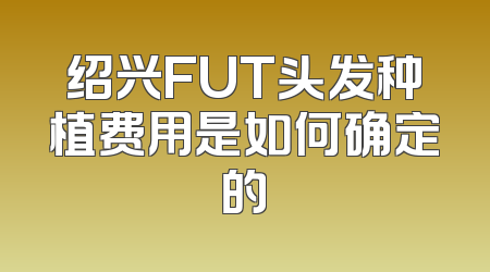 绍兴FUT头发种植费用是如何确定的