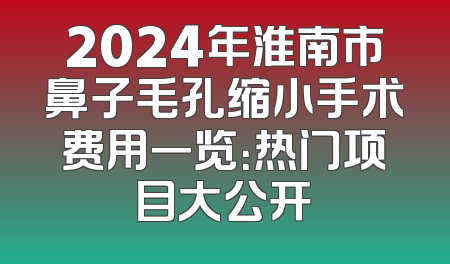 2024年淮南市鼻子毛孔缩小手术费用一览：热门项目大公开