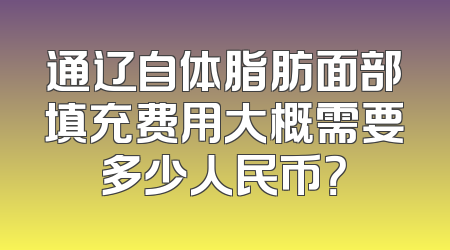 通辽自体脂肪面部填充费用大概需要多少人民币？
