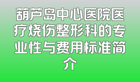 葫芦岛中心医院医疗烧伤整形科的专业性与费用标准简介