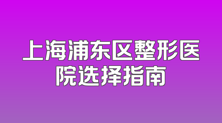 上海浦东区整形医院选择指南