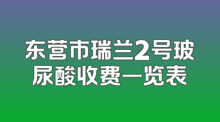 东营市瑞兰2号玻尿酸收费一览表