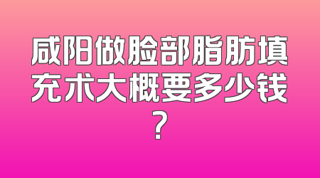 咸阳做脸部脂肪填充术大概要多少钱？