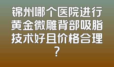 锦州哪个医院进行黄金微雕背部吸脂技术好且价格合理？