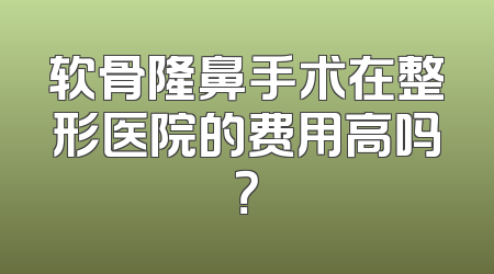 软骨隆鼻手术在整形医院的费用高吗？