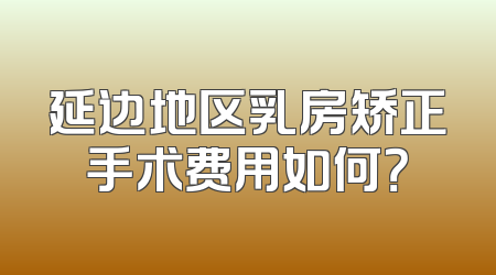 延边地区乳房矫正手术费用如何？