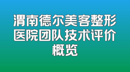 渭南德尔美客整形医院团队技术评价概览