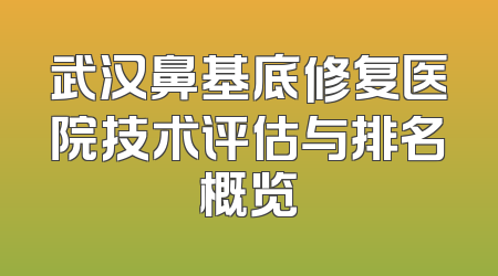 武汉鼻基底修复医院技术评估与排名概览
