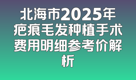 北海市2025年疤痕毛发种植手术费用明细参考价解析