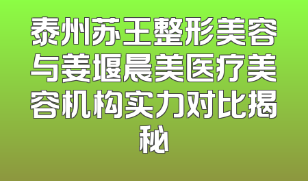 泰州苏王整形美容与姜堰晨美医疗美容机构实力对比揭秘
