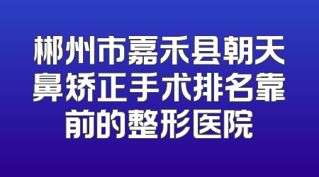 郴州市嘉禾县朝天鼻矫正手术排名靠前的整形医院