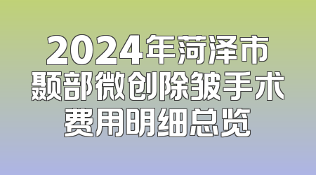 2024年菏泽市颞部微创除皱手术费用明细总览