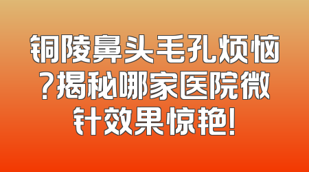 铜陵鼻头毛孔烦恼？揭秘哪家医院微针效果惊艳！