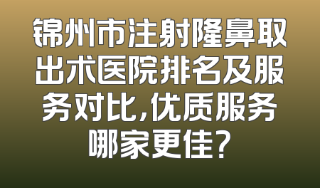 锦州市注射隆鼻取出术医院排名及服务对比，优质服务哪家更佳？