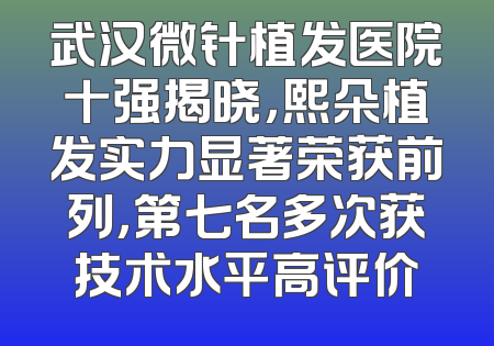 武汉微针植发医院十强揭晓，熙朵植发实力显著荣获前列，第七名多次获技术水平高评价