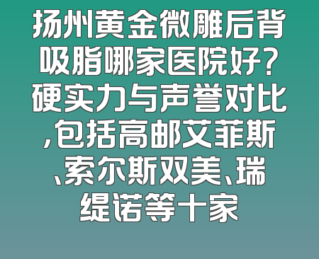 扬州黄金微雕后背吸脂哪家医院好？硬实力与声誉对比，包括高邮艾菲斯、索尔斯双美、瑞缇诺等十家