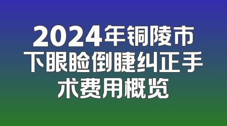 2024年铜陵市下眼睑倒睫纠正手术费用概览