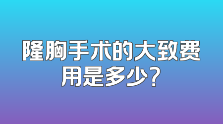 隆胸手术的大致费用是多少？