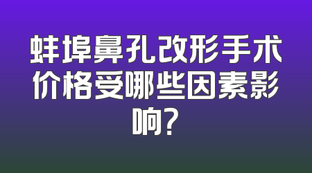 蚌埠鼻孔改形手术价格受哪些因素影响？